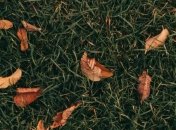 Праздник 23 октября: народные приметы и запреты