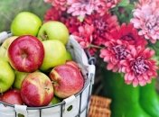 Далеко не "супер-фуд": диетолог рассказал, почему пользу яблок переоценивают 