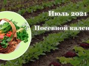 Благоприятные дни для огородных и садовых работ: что и когда можно садить в июле 2021