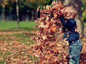 Приметы и обряды на 22 сентября - День Иоакима и Анны