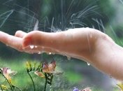 Прогноз погоды в Украине на 16 июля: пройдут дожди с грозами