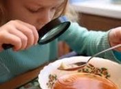 Австралийские родители смогут контролировать рацион питания своих детей по интернету