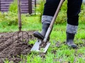 Что необходимо посадить на огороде в апреле: посевной календарь 2022