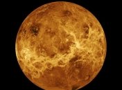 Ученые рассказали, какие организмы живут на Венере 
