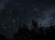 Лето 2016 порадует астрономов сразу пятью редкими небесными шоу 