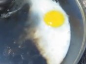 Туристов попросили перестать жарить яйца в Долине смерти (Видео)