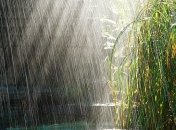 Украинцам сегодня обещают жару, дожди лишь местами