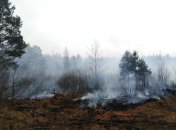 Недалеко от столицы заметили новый масштабный лесной пожар (Видео)