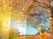 Вихідні у вересні 2021