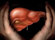 Ученые узнали, как проще избавить печень от жира