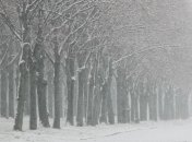 На Сибирь обрушились аномальные морозы