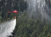 Восемь стран направили спасателей в Швецию бороться с лесными пожарами