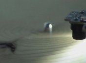 Что удалось создать ученым из годичных колец дерева?