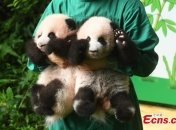 Малятам виповнилося 100 днів.