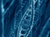 Сколько процентов человеческого ДНК функциональны?