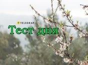 Пройдите тест и узнайте о себе больше