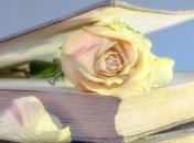 5 книг, которые нужно поскорее экранизировать 