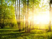 24 июля. Приметы дня