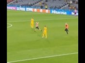 Болельщик совершил забег на поле во время матча Швеция - Украина (видео)