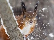 В Украине резко изменится погода