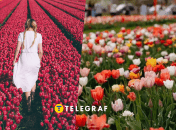 Девушка и цветы