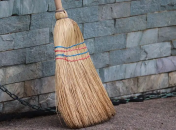 У лозинах віника може ховатися домовик