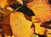 В Украину идут дожди: прогноз погоды на 25-26 сентября