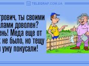 Встречаем воскресенье с позитивом: утренние анекдоты 22 декабря