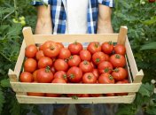 Прості трюки збережуть свіжість продуктів