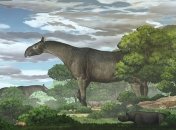 Вище за жирафа: вчені відкрили вид гігантських носорогів