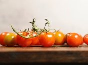 Как засолить помидоры, чтобы они не треснули