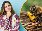 Що означає це слово?