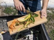 Компостную кучу нужно присыпать правильным материалом