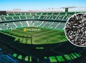 На стадионе "Мартинес Валеро" запретили употреблять семечки