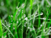 27 июля. Приметы дня