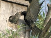 4 апреля. Приметы дня