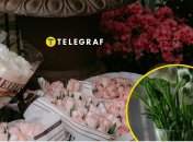 Эти цветы - ядовиты для людей