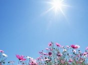 Погода на сегодня: почти вся страна купается в лучах солнца