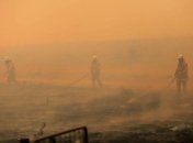 Жара отступает: в столице Австралии отменили режим ЧП