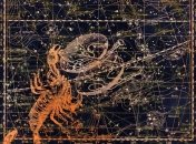 Бизнес-гороскоп на неделю: все знаки зодиака (11.02 - 17.02.2019)