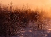 Какой праздник 2 декабря: народные приметы и запреты