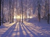 Какой завтра праздник: обычаи и традиции на 7 декабря