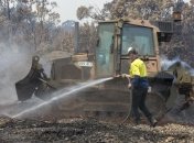 Горящая Австралия: число жертв увеличилось 
