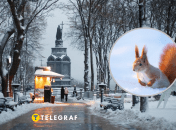 Снег в Украине