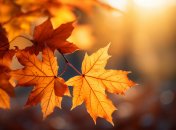 Похолодание не будет продолжительным