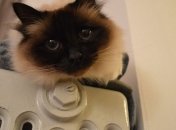 Кабмин выделяет дополнительные средства на проекты по утеплению домов 