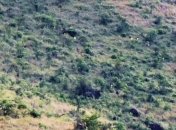 Убили солдата и захватили оружие: сотни преступников сбежали из тюрьмы в Уганде