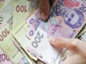 Приватизация аграрных предприятий выведет из тени до 5 млрд грн