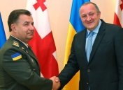Полторак и президент Грузии обсудили реформу украинской армии