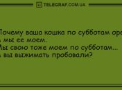 Для печали нет причин: уморительные анекдоты в этот день